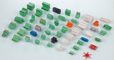 恒利華兄弟電子 網絡經營戰略與未來展望